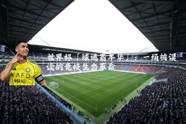 世界杯「球迷嘉年华」:一场被误读的竞技生态革命